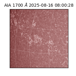 saia - 2025-08-16T08:00:28.710000