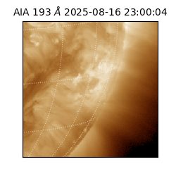 saia - 2025-08-16T23:00:04.843000