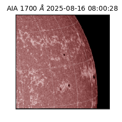 saia - 2025-08-16T08:00:28.710000