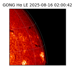 gong - 2025-08-16T02:00:42