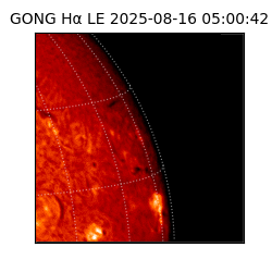 gong - 2025-08-16T05:00:42