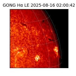 gong - 2025-08-16T02:00:42