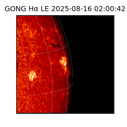 gong - 2025-08-16T02:00:42