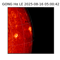 gong - 2025-08-16T05:00:42