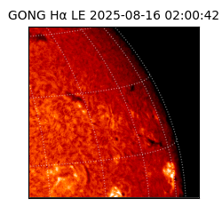 gong - 2025-08-16T02:00:42