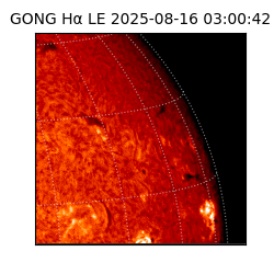 gong - 2025-08-16T03:00:42