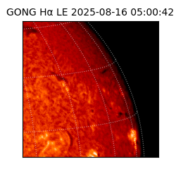 gong - 2025-08-16T05:00:42