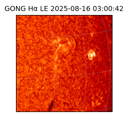 gong - 2025-08-16T03:00:42