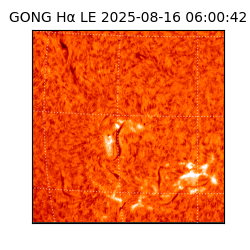 gong - 2025-08-16T06:00:42