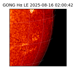 gong - 2025-08-16T02:00:42
