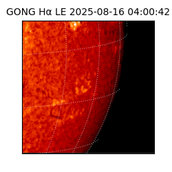 gong - 2025-08-16T04:00:42
