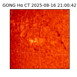 gong - 2025-08-16T21:00:42