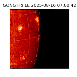 gong - 2025-08-16T07:00:42