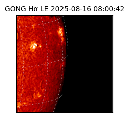 gong - 2025-08-16T08:00:42