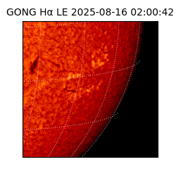 gong - 2025-08-16T02:00:42
