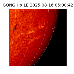 gong - 2025-08-16T05:00:42