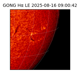 gong - 2025-08-16T09:00:42