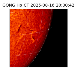 gong - 2025-08-16T20:00:42