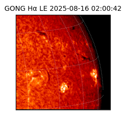 gong - 2025-08-16T02:00:42