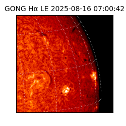 gong - 2025-08-16T07:00:42