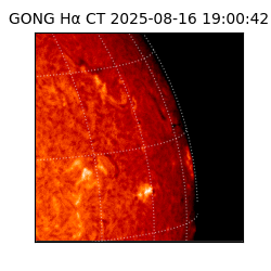 gong - 2025-08-16T19:00:42