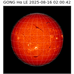 gong - 2025-08-16T02:00:42
