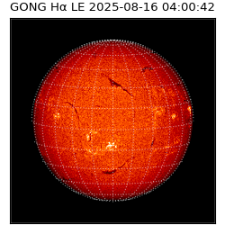 gong - 2025-08-16T04:00:42