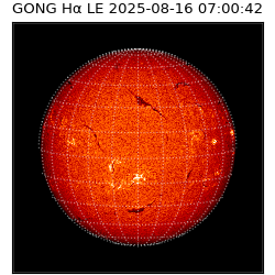 gong - 2025-08-16T07:00:42