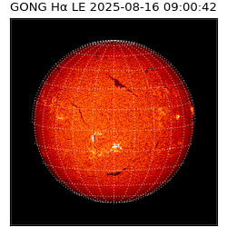 gong - 2025-08-16T09:00:42