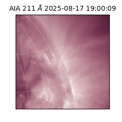 saia - 2025-08-17T19:00:09.626000