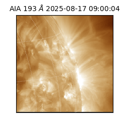 saia - 2025-08-17T09:00:04.835000