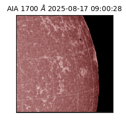 saia - 2025-08-17T09:00:28.720000