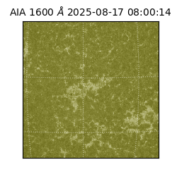 saia - 2025-08-17T08:00:14.125000