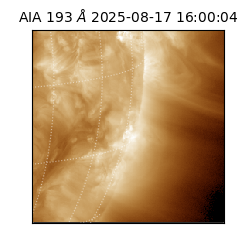 saia - 2025-08-17T16:00:04.843000