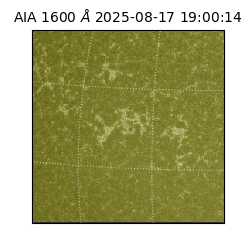 saia - 2025-08-17T19:00:14.129000