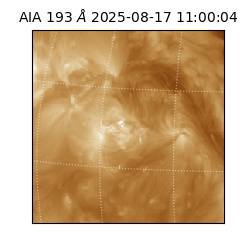 saia - 2025-08-17T11:00:04.843000