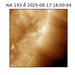 saia - 2025-08-17T16:00:04.843000
