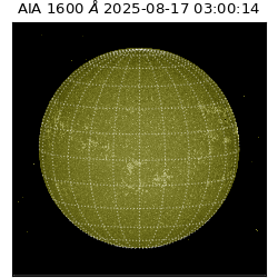 saia - 2025-08-17T03:00:14.126000