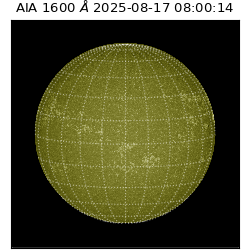 saia - 2025-08-17T08:00:14.125000