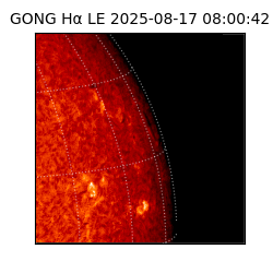 gong - 2025-08-17T08:00:42