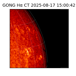 gong - 2025-08-17T15:00:42