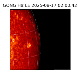 gong - 2025-08-17T02:00:42