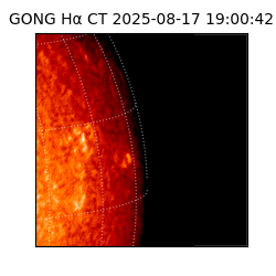 gong - 2025-08-17T19:00:42