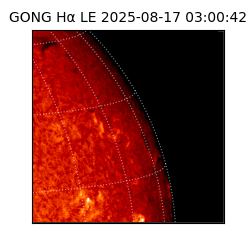gong - 2025-08-17T03:00:42