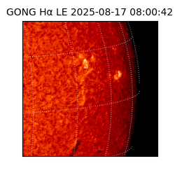 gong - 2025-08-17T08:00:42