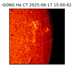 gong - 2025-08-17T15:00:42