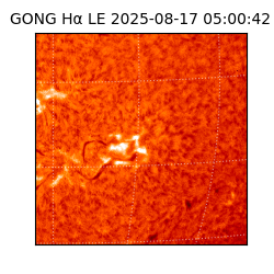 gong - 2025-08-17T05:00:42
