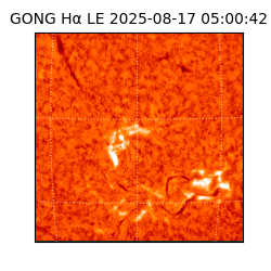 gong - 2025-08-17T05:00:42