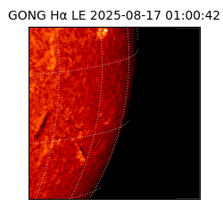 gong - 2025-08-17T01:00:42