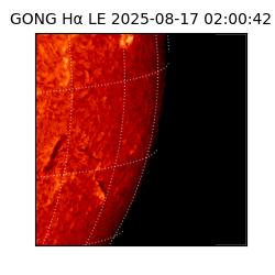 gong - 2025-08-17T02:00:42